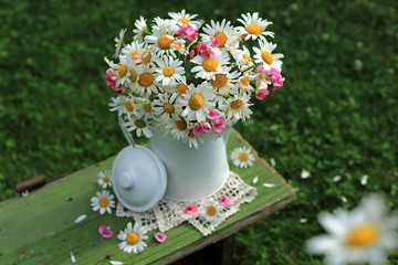A bouquet of daisies in a white jug on a wooden bench in the garden.