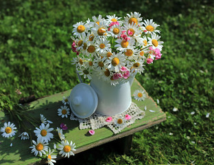 A bouquet of daisies in a white jug on a wooden bench in the garden.
