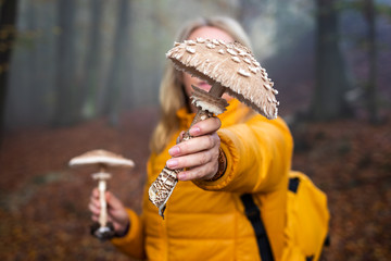 Hiking woman is showing parasol mushroom found in forest. Exploration autumn woodland. Edible...