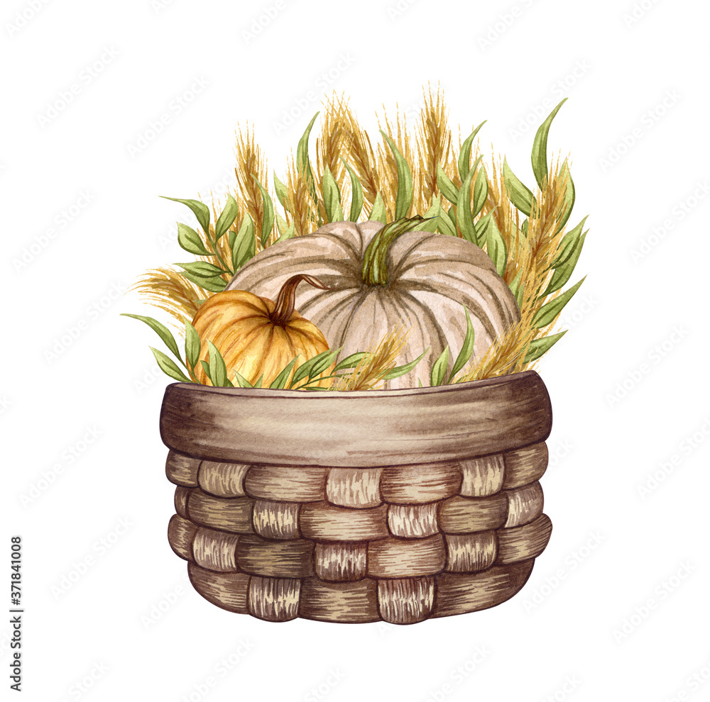 Wall mural watercolor pumpkin composition, floral pumpkins in a basket, halloween clip art, autumn design eleme