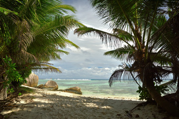 Fototapeta na wymiar Paradiesischer Strand auf den Seychellen 