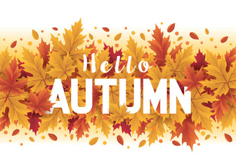 Hello autumn season design. Autumn background with fall leaves. Autumn seasonal template with leaf © GUGAI