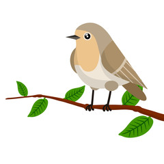 Forest bird sitting on a tree branch. Cute Animal with wings and green leaves. Illustration for greeting cards. Grey Nightingale. Cartoon flat illustration