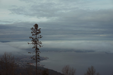 Fototapeta na wymiar Drammens fjord covered with fog at evening.