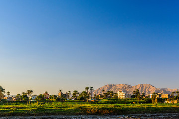 Fototapeta premium Budynki mieszkalne na brzegu Nilu w Luksorze w Egipcie