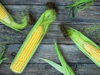 Fresh corn on the cob - a whole cob with leaves on wooden background in rustic style. The view from the top. The style of pop art. Autumn concept