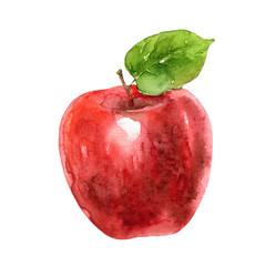 Watercolor red apple isolated on white background