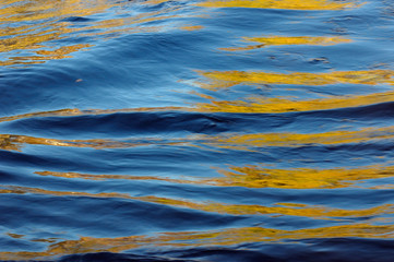 Abstract standing waves reflecting yellow birch trees on the blue Kettle River in Autumn