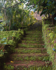 Stone stairs leading to the top