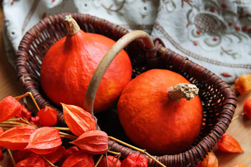 Hokkaido K&uuml;rbisse im Korb