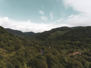 Textures of transylvanian nature.