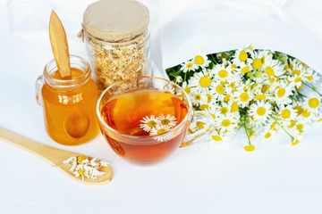cup of herbal chamomile tea and daisy flowers on white background doctor treatment and prevention of immune concept, medicine - folk, alternative, complementary, traditional medicine