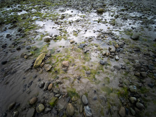 Newcastle, small Coastal Town in Northern Ireland, united Kingdom. 