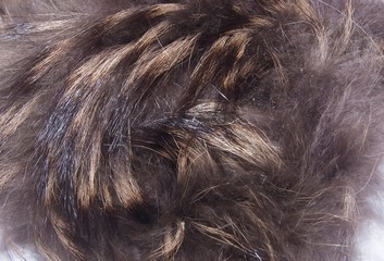natural fur of a furry animal painted in brown tones