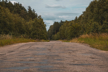 road between forests.