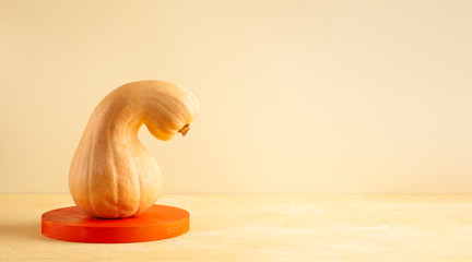 Modern still life with butternut squash on podium. Autumn concept with food and geometric object on...