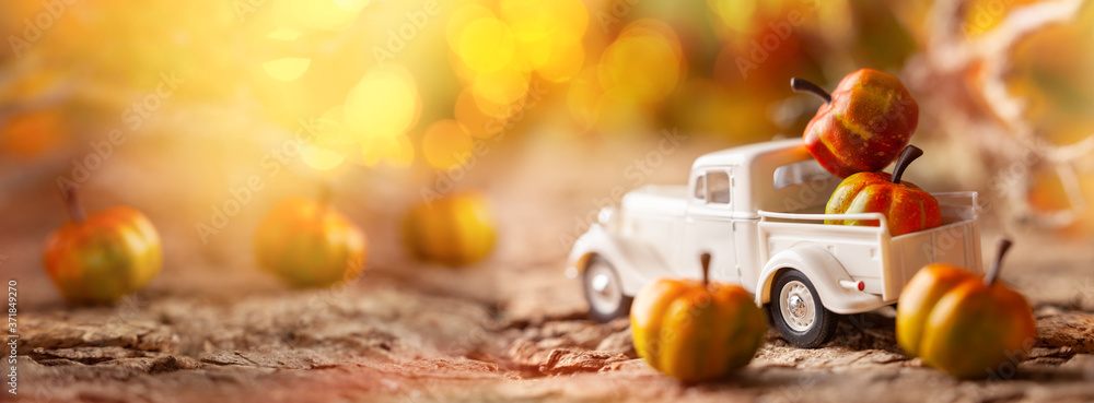 Wall mural white retro truck with pumpkins in forest with festive bokeh background. concept of thanksgiving day