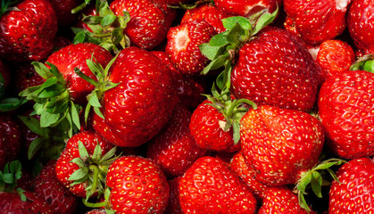 Freshly picked strawberries. Strawberry. Food background. Red ripe strawberry background. Close-up, top view. Strawberry texture macro shot. Beautiful berry, healthy food.