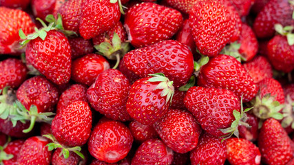 Freshly picked strawberries. Strawberry. Food background. Red ripe strawberry background. Close-up, top view. Strawberry texture macro shot. Beautiful berry, healthy food.