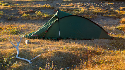 Camping out in wild greenland