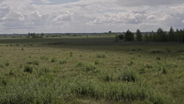 landscape of polesie region