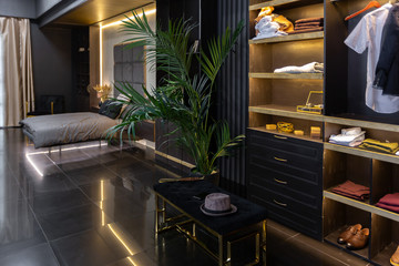 dark modern stylish male apartment interior with lighting, decorative walls, fireplace, dressing...