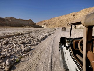 A convoy of jeeps on a journey in the desert
