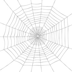 Full screen black spiderweb on white background.