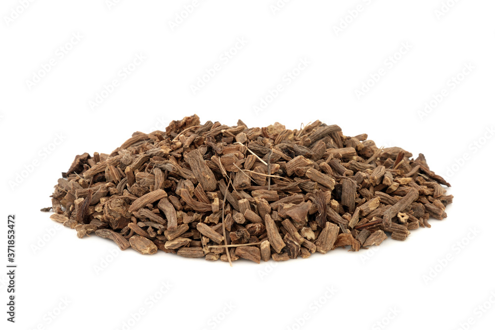 Canvas Prints valerian herb root used in herbal medicine as a tranquilizer & to treat insomnia, anxiety, hypertens