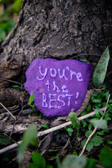 Rock painted purple that says, "You're the Best" sitting at the base of a tree