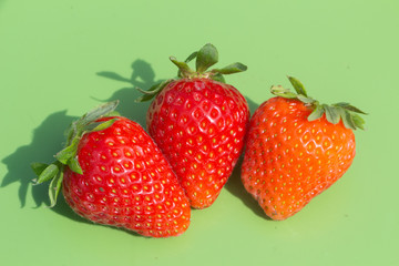 Three raw fresh strawberries on green background