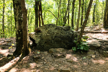 Sun shining on a large rock in the woods