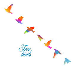 Bird watercolor. A flock of colorful birds. Mixed media. Free birds. Vector illustration