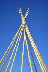 Teepee construction: 27' wooden poles are placed to form the basis for a conical structure.