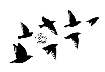Obraz premium A flock of flying birds. Vector illustration