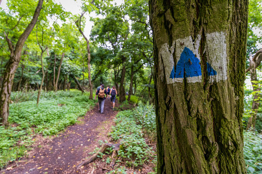 Hiking trail on Hill Badacsony