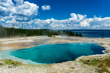 Geothermal Pool Yellowstone National Park