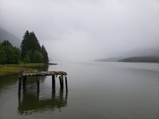 morning mist on the lake
