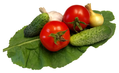  red tomatoes cucumbers onions and garlic on a green leaf on a white background