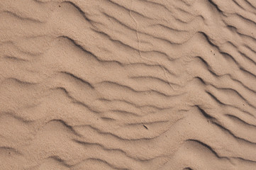 Pofalowany piasek na bałtyckiej plaży - naturalny wzór - obrazy, fototapety, plakaty