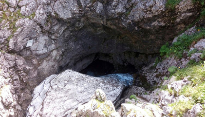 a cave in the forest