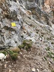 a rope on the rock for climbing