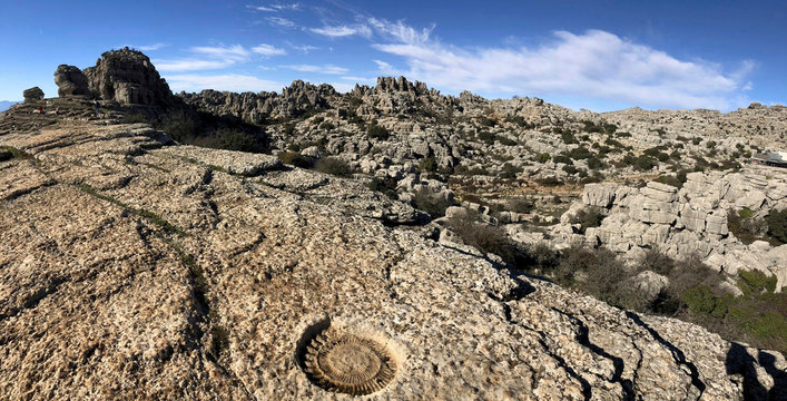 the torca national park in summer