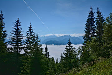 mgła w Tatrach, widok ze szlaku na  Gęsią Szyję