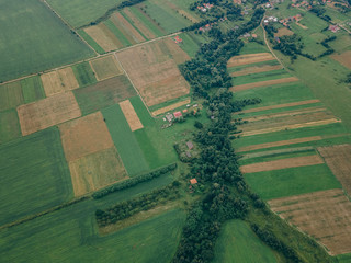 Fototapeta premium A close up of a green field