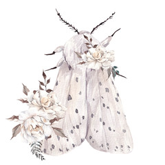 Watercolor illustration with moth and flowers, isolated on white background