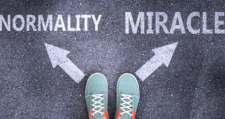 Normality and miracle as different choices in life - pictured as words Normality, miracle on a road to symbolize making decision and picking either Normality or miracle as an option, 3d illustration