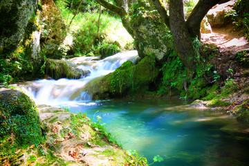 Obraz premium Mountain stream among the mossy stones
