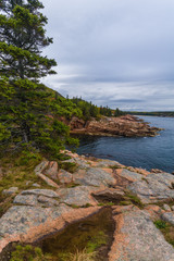 Fototapeta na wymiar Rocky Coast near Otter Cliffs, Acadia NP, Maine