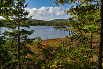 Fototapeta na wymiar Witch Hole Pond; Acadia National Park, Maine